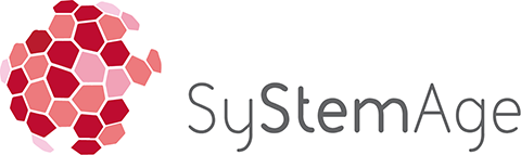 SyStemAge Logo