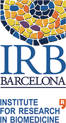 IRB Logo
